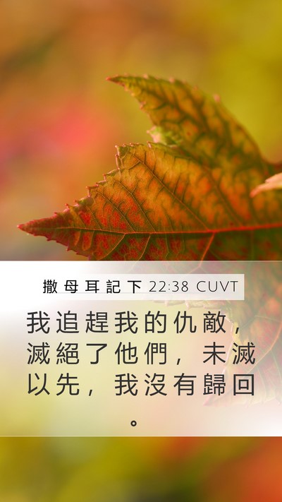 撒 母 耳 記 下 22:38 CUVT Mobile Phone Wallpaper - 我 追 趕 我 的 仇 敵 ， 滅 絕 了 他 - Mobile Bible Verse Wallpaper