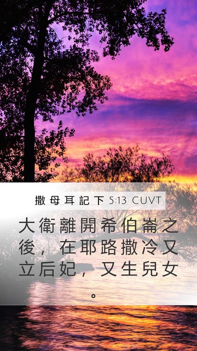 撒 母 耳 記 下 5:13 CUVT Bible Verse Image