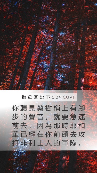 撒 母 耳 記 下 5:24 CUVT Bible Verse Image