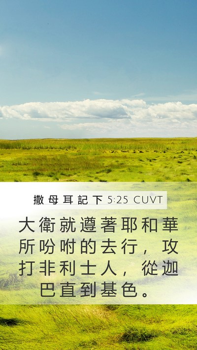 撒 母 耳 記 下 5:25 CUVT Bible Verse Image