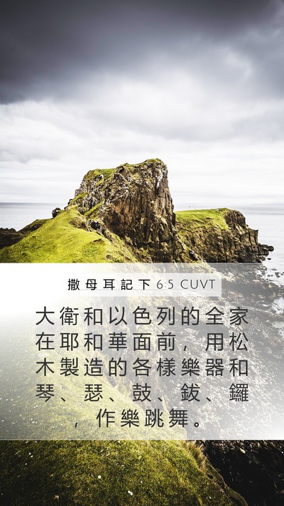 撒 母 耳 記 下 6:5 CUVT Bible Verse Image