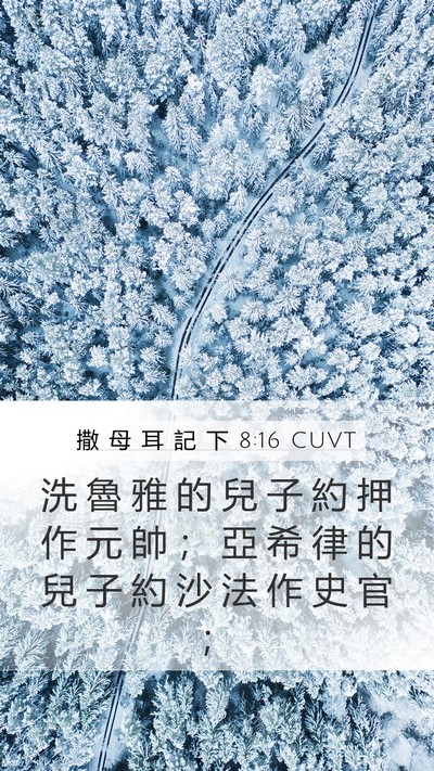 撒 母 耳 記 下 8:16 CUVT Bible Verse Image