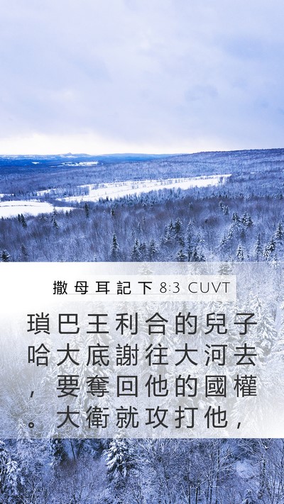 撒 母 耳 記 下 8:3 CUVT Bible Verse Image