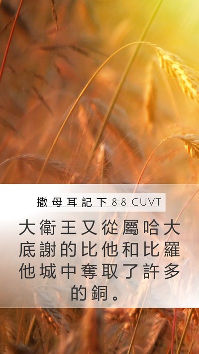 撒 母 耳 記 下 8:8 CUVT Bible Verse Image