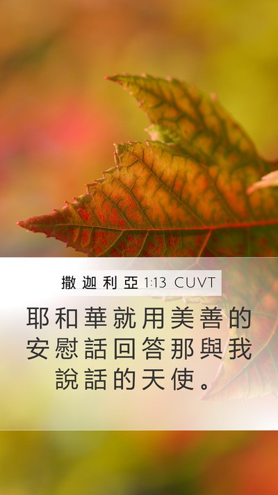 撒 迦 利 亞 1:13 CUVT Bible Verse Image