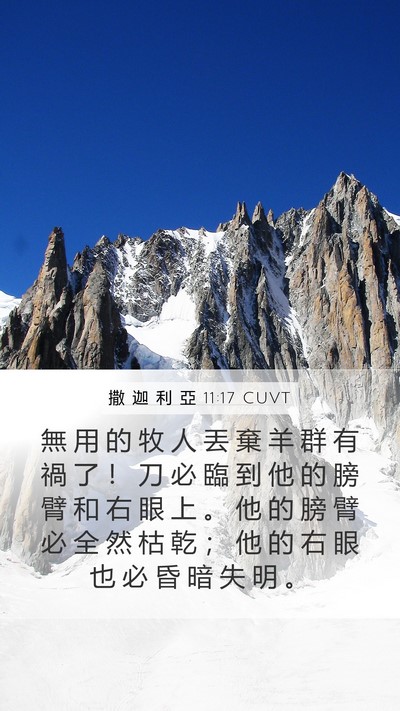 撒 迦 利 亞 11:17 CUVT Bible Verse Image