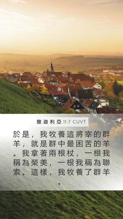 撒 迦 利 亞 11:7 CUVT Bible Verse Image