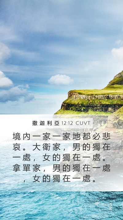 撒 迦 利 亞 12:12 CUVT Bible Verse Image