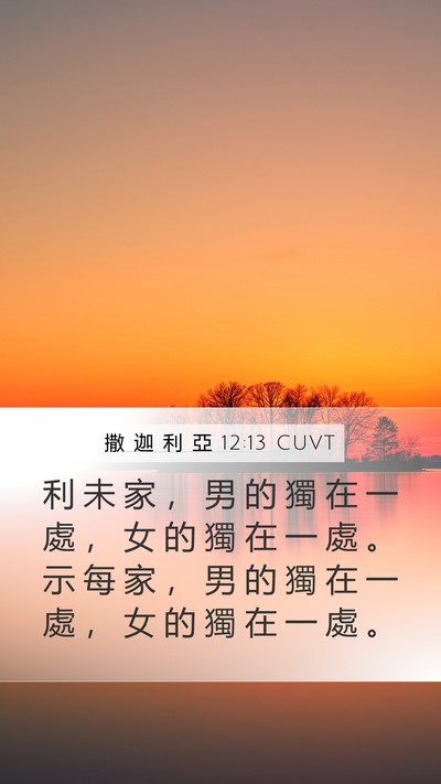 撒 迦 利 亞 12:13 CUVT Bible Verse Image