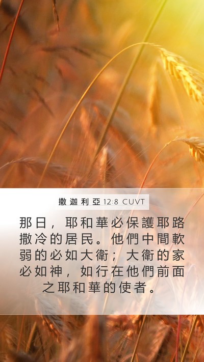撒 迦 利 亞 12:8 CUVT Bible Verse Image
