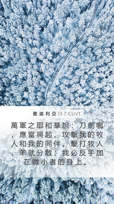 撒 迦 利 亞 13:7 CUVT Bible Verse Image
