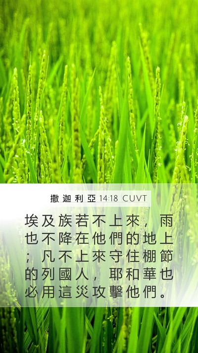 撒 迦 利 亞 14:18 CUVT Bible Verse Image