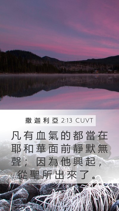 撒 迦 利 亞 2:13 CUVT Bible Verse Image