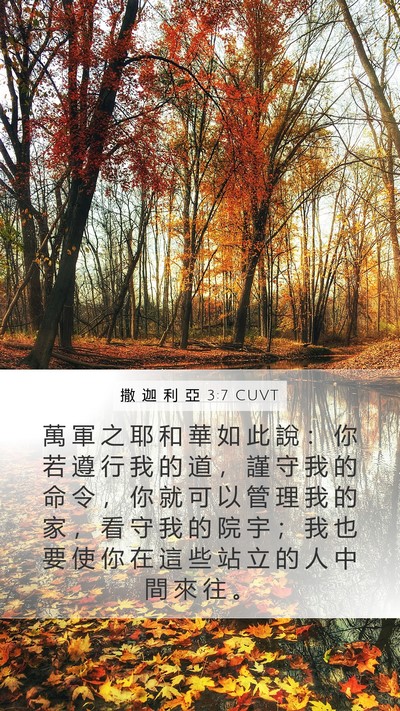 撒 迦 利 亞 3:7 CUVT Bible Verse Image