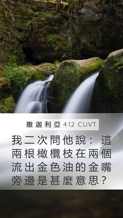撒 迦 利 亞 4:12 CUVT Bible Verse Image