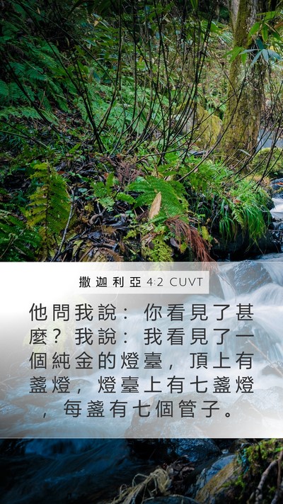 撒 迦 利 亞 4:2 CUVT Bible Verse Image