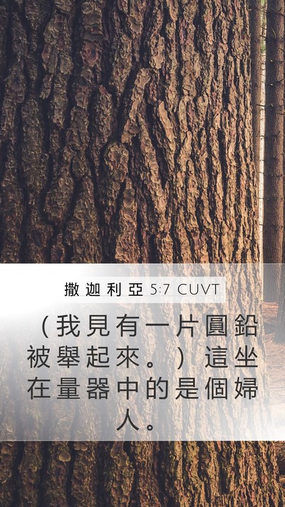 撒 迦 利 亞 5:7 CUVT Bible Verse Image