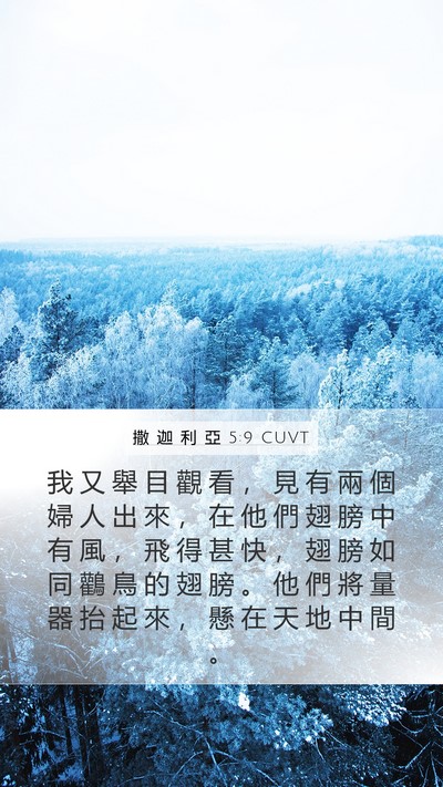 撒 迦 利 亞 5:9 CUVT Bible Verse Image