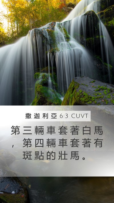 撒 迦 利 亞 6:3 CUVT Bible Verse Image