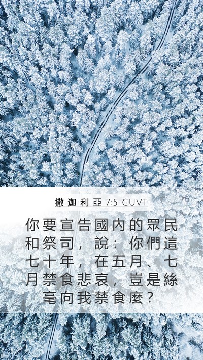 撒 迦 利 亞 7:5 CUVT Bible Verse Image