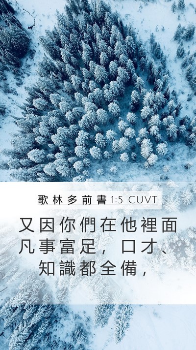 歌 林 多 前 書 1:5 CUVT Bible Verse Image