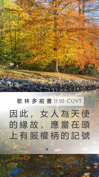 歌 林 多 前 書 11:10 CUVT Bible Verse Image