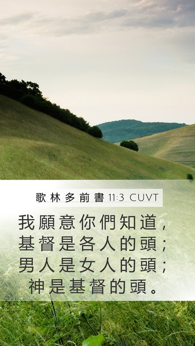 歌 林 多 前 書 11:3 CUVT Bible Verse Image