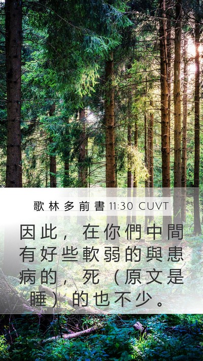 歌 林 多 前 書 11:30 CUVT Bible Verse Image