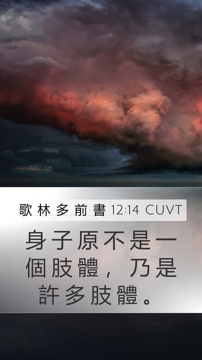 歌 林 多 前 書 12:14 CUVT Bible Verse Image