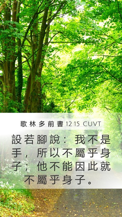 歌 林 多 前 書 12:15 CUVT Mobile Phone Wallpaper - 設 若 腳 說 ： 我 不 是 手 ， 所 以 - Mobile Bible Verse Wallpaper