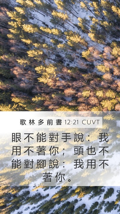 歌 林 多 前 書 12:21 CUVT Bible Verse Image