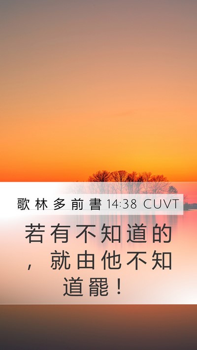 歌 林 多 前 書 14:38 CUVT Mobile Phone Wallpaper - 若 有 不 知 道 的 ， 就 由 他 不 知 - Mobile Bible Verse Wallpaper