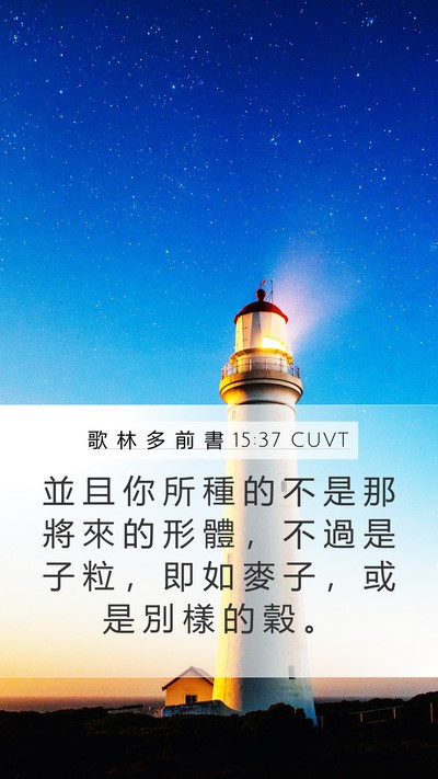 歌 林 多 前 書 15:37 CUVT Mobile Phone Wallpaper - 並 且 你 所 種 的 不 是 那 將 來 的 - Mobile Bible Verse Wallpaper