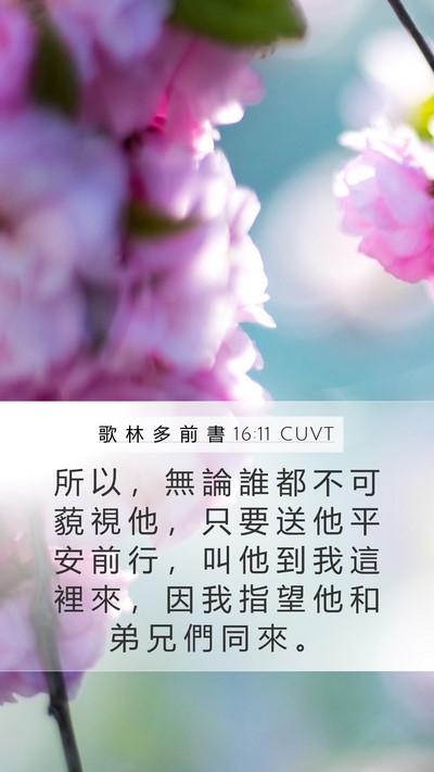 歌 林 多 前 書 16:11 CUVT Bible Verse Image