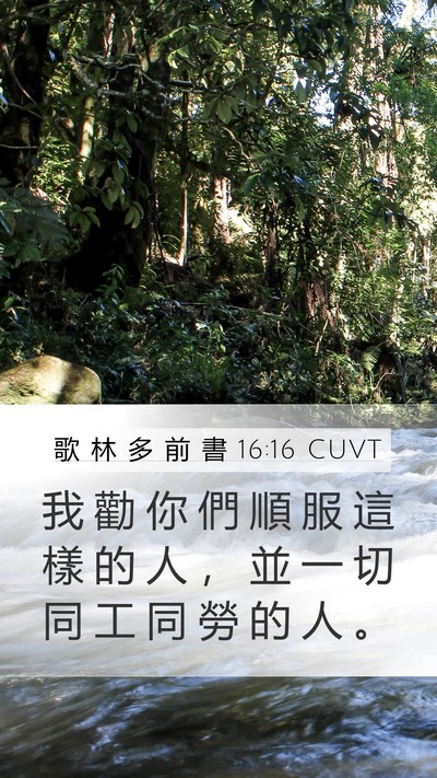 歌 林 多 前 書 16:16 CUVT Bible Verse Image