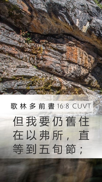 歌 林 多 前 書 16:8 CUVT Bible Verse Image