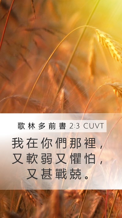 歌 林 多 前 書 2:3 CUVT Bible Verse Image