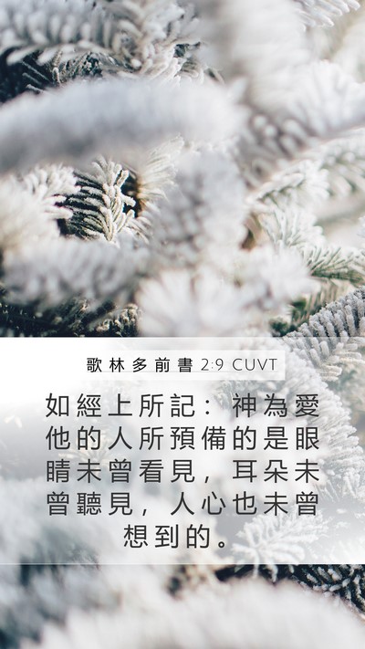 歌 林 多 前 書 2:9 CUVT Bible Verse Image