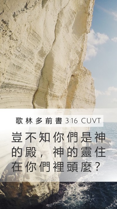 歌 林 多 前 書 3:16 CUVT Bible Verse Image