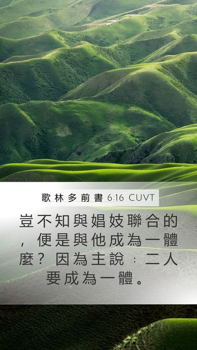 歌 林 多 前 書 6:16 CUVT Bible Verse Image
