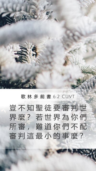 歌 林 多 前 書 6:2 CUVT Bible Verse Image