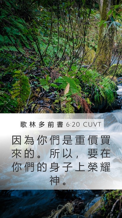 歌 林 多 前 書 6:20 CUVT Bible Verse Image
