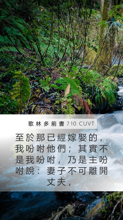 歌 林 多 前 書 7:10 CUVT Bible Verse Image