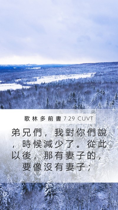 歌 林 多 前 書 7:29 CUVT Bible Verse Image