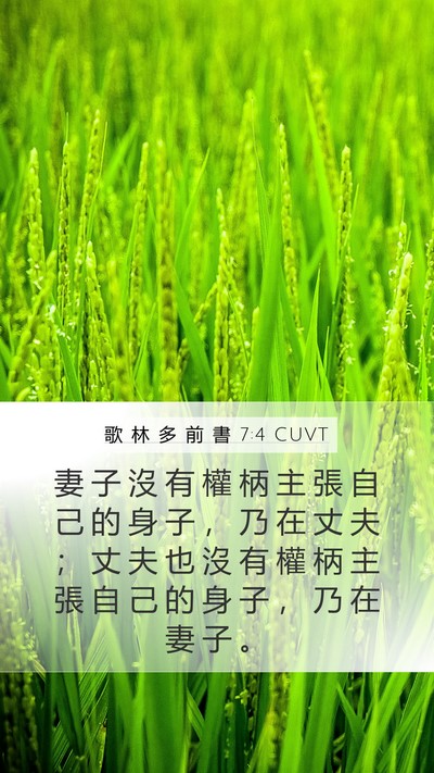 歌 林 多 前 書 7:4 CUVT Bible Verse Image