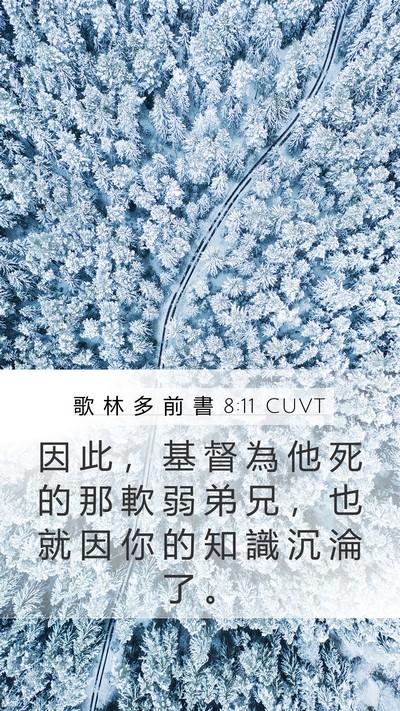 歌 林 多 前 書 8:11 CUVT Bible Verse Image