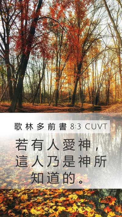 歌 林 多 前 書 8:3 CUVT Bible Verse Image