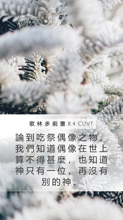 歌 林 多 前 書 8:4 CUVT Bible Verse Image