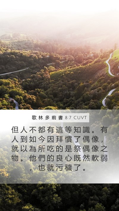 歌 林 多 前 書 8:7 CUVT Bible Verse Image