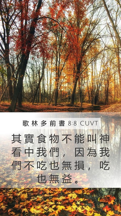 歌 林 多 前 書 8:8 CUVT Bible Verse Image